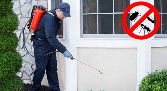 Doğanhisar Kemirgen İlaçlama böcek ilaçlama ve haşere kontrolü — ilaclama-tr.com